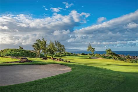 A new year brings the largest field ever to Kapalua for PGA Tour start